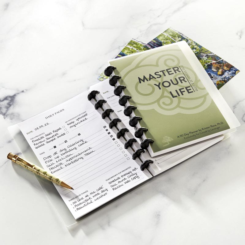 Plan With Me: Louis Vuitton Agenda Refill & DayDesigner Daily Planner 